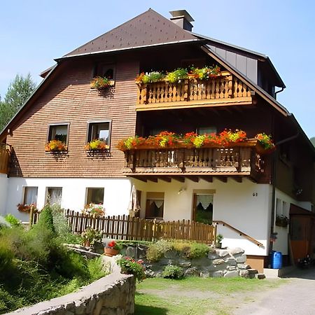 Haus Maria Daire Todtnau Dış mekan fotoğraf