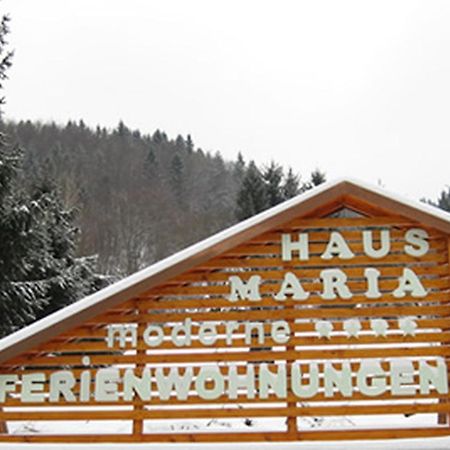 Haus Maria Daire Todtnau Dış mekan fotoğraf