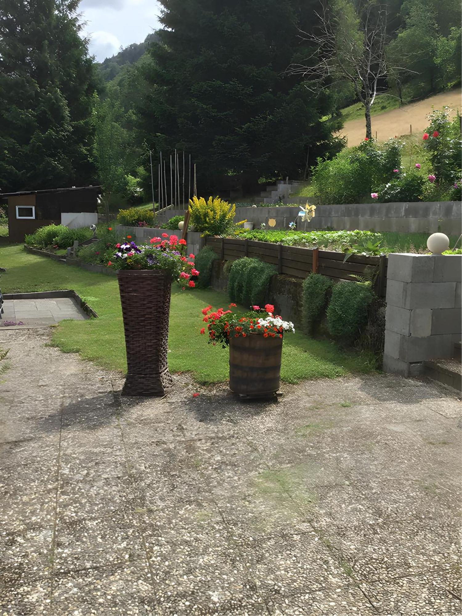 Haus Maria Daire Todtnau Dış mekan fotoğraf