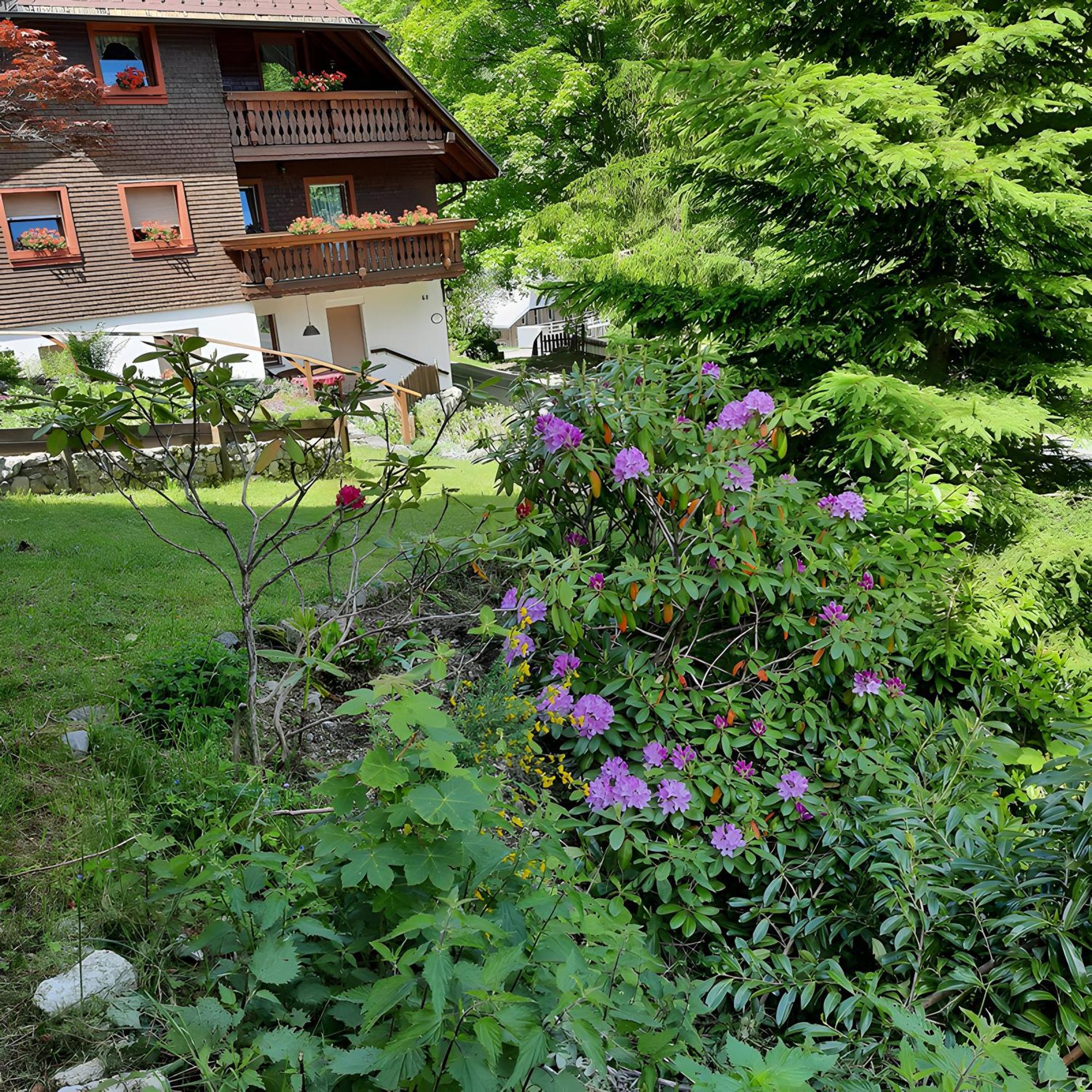 Haus Maria Daire Todtnau Dış mekan fotoğraf