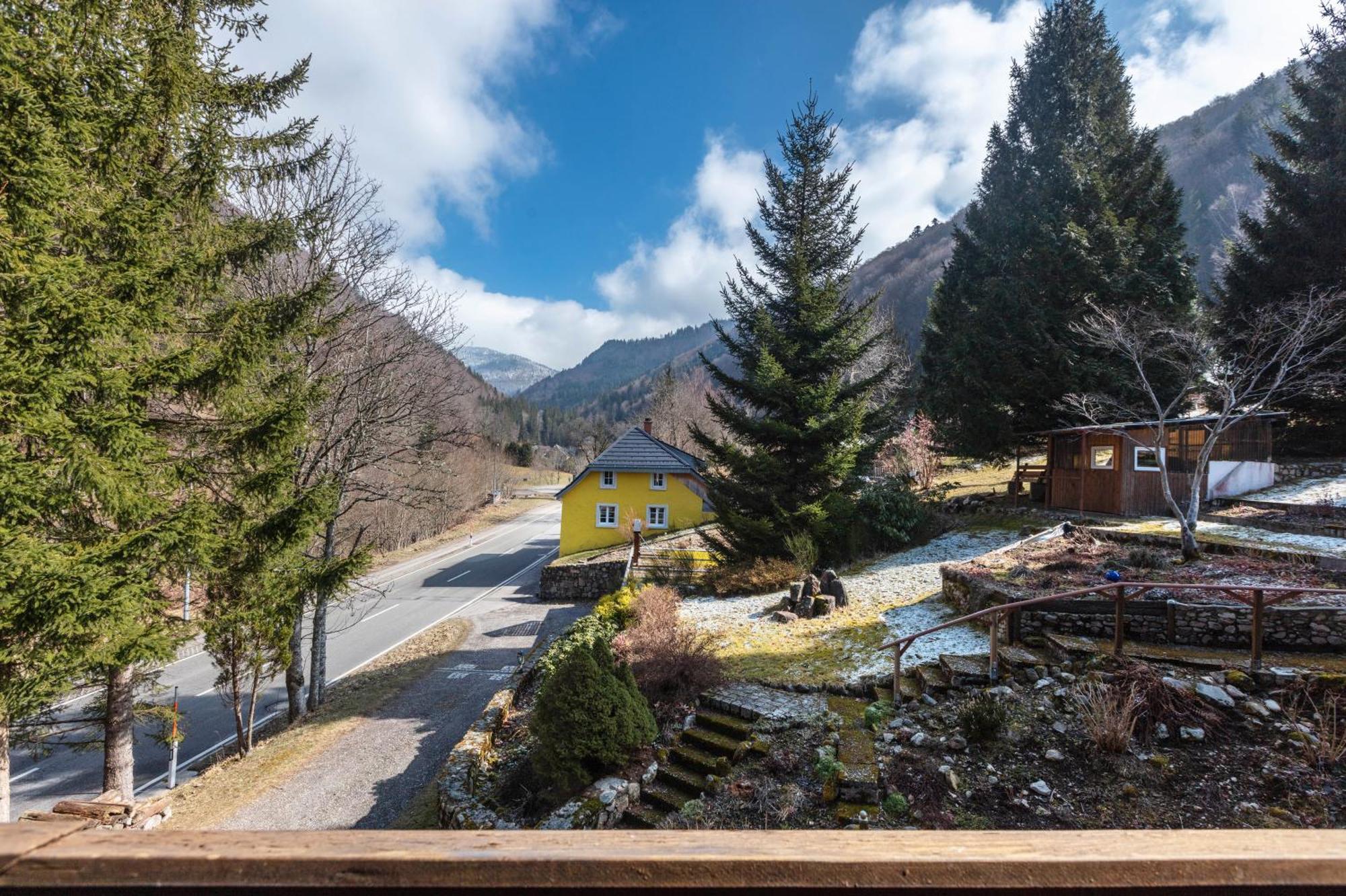 Haus Maria Daire Todtnau Dış mekan fotoğraf