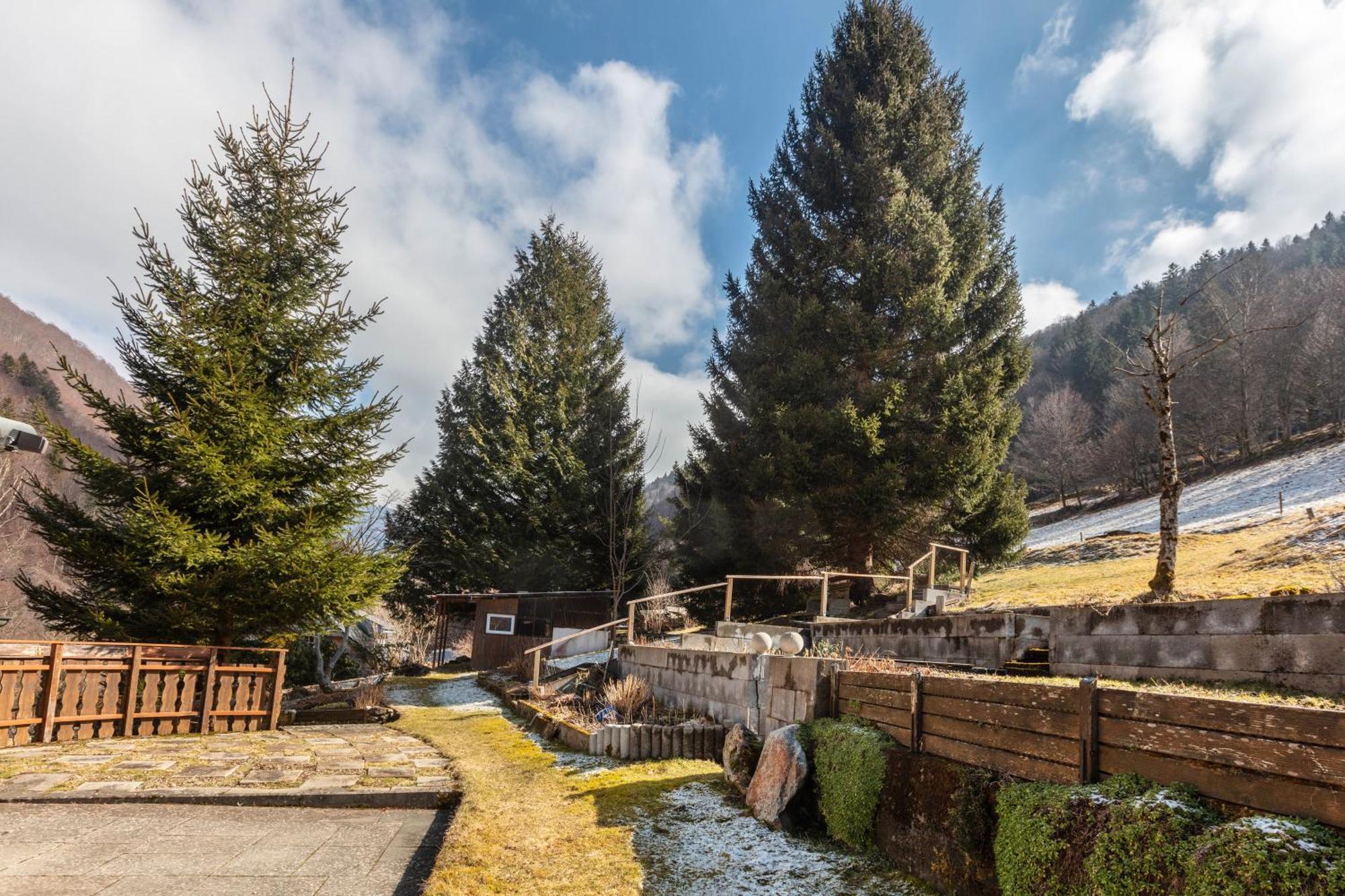 Haus Maria Daire Todtnau Dış mekan fotoğraf