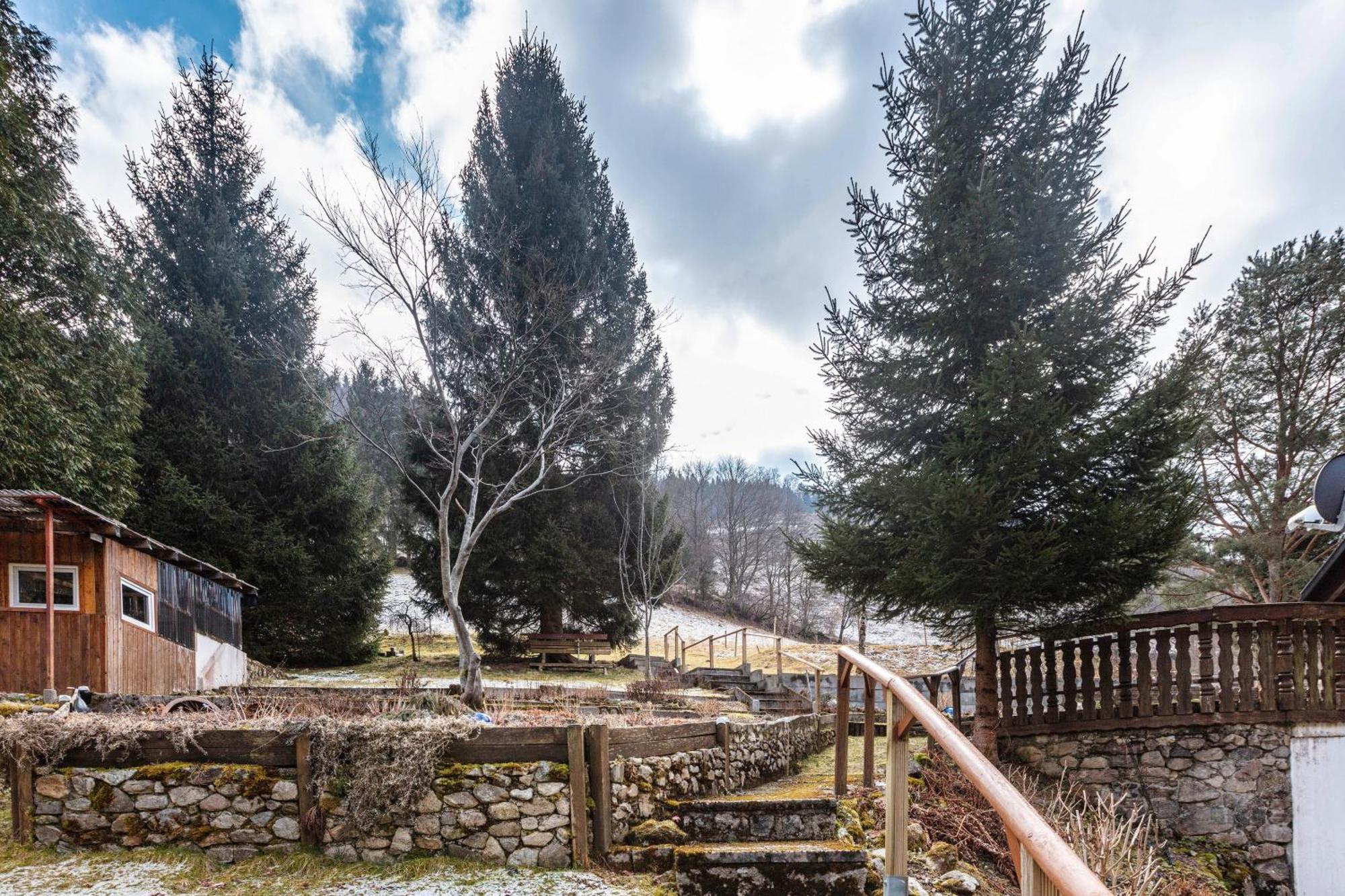 Haus Maria Daire Todtnau Dış mekan fotoğraf