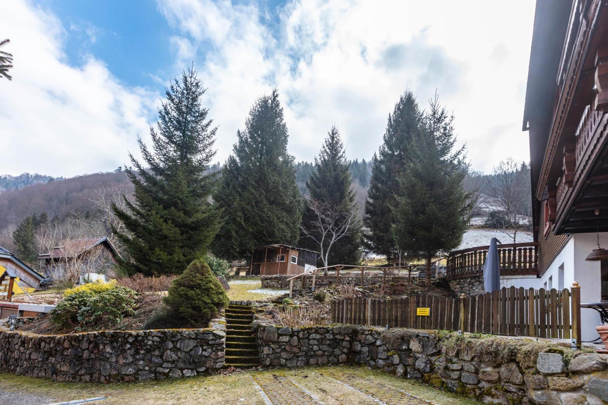 Haus Maria Daire Todtnau Dış mekan fotoğraf