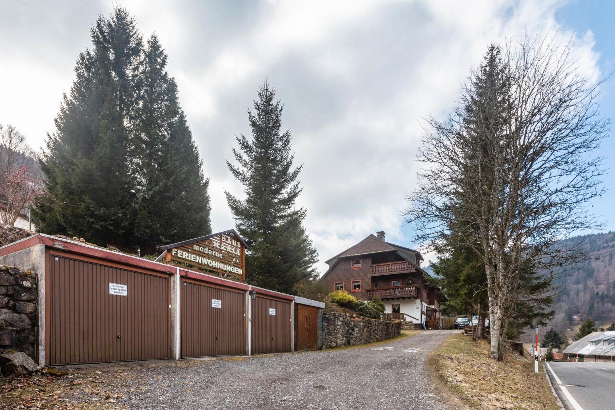 Haus Maria Daire Todtnau Dış mekan fotoğraf